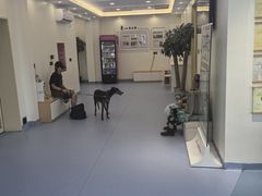 -全心全意动物诊疗中心医院(北苑店)