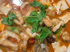 -煲来饱去冷水鱼