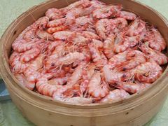 -联邦酒楼