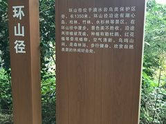 -滴水岩森林公园
