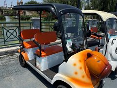 -荷兰花海