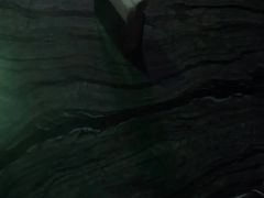 -魅KTV·AI辅唱(福雷德广场店)