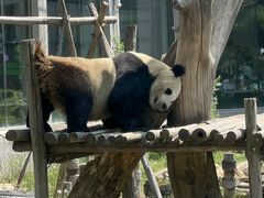 -沈阳森林动物园