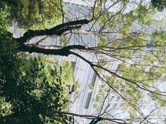 -中山大学中山眼科中心(珠江新城院区)