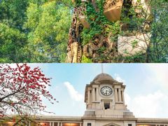 -广州市白云山风景名胜区