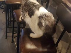 -Mr.Fox狐狸先生超级密室(南山店)