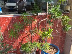 -眷味轩(时代山湖海店)