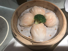-南枝记