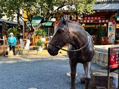 -云南民族村