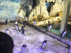 -成都浩海立方海洋公园