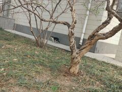 -山东大学(千佛山校区)