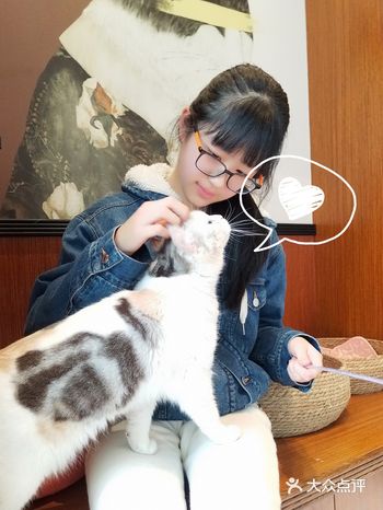 【魔都周末遛娃】撸猫好去处