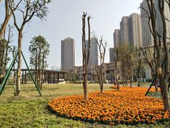 -府河摄影公园