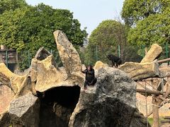 -南昌动物园
