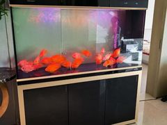 -华声天桥民俗文化园