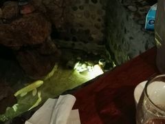 -院落创意菜