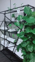 -MJ skin care国际皮肤管理中心