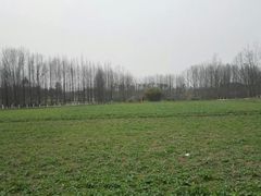 -桤木河湿地公园