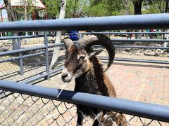 -长白岛森林公园