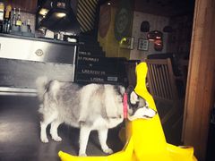 -奇醜的猴子咖啡(财信广场店)