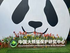 -都江堰中华大熊猫苑