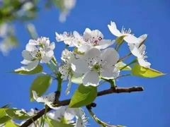 -辛玛王国游乐园