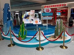 -福州长乐国际机场