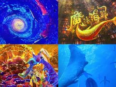 -海合安天津极地海洋公园