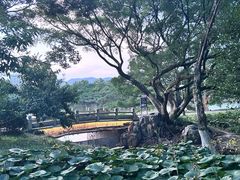 -江心屿景区
