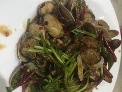 花蚬子-小海丁