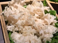 -盡膳口福跷脚牛肉火锅(合生汇购物中心店)