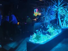 -贰麻酒馆(东坝斗酒场店)