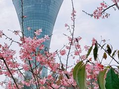 -狐尾山公园