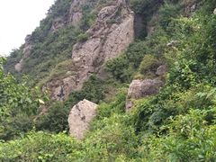 -阳台山自然风景区