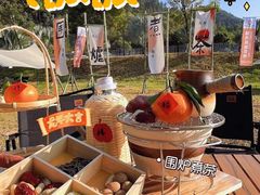 -南丹山森林王国