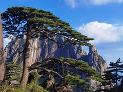 -黄山风景区