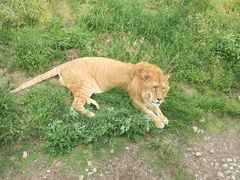 -西安秦岭野生动物园