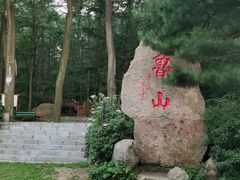 -鲁山国家森林公园