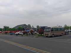 -盐城丹顶鹤湿地生态旅游区