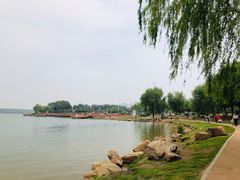 -丁香湖公园
