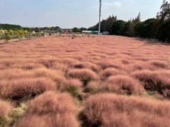 -嘉北郊野公园