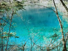 -九寨沟-树正沟