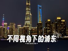 -摆渡站(董家渡站)