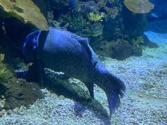 -江和美海洋公园