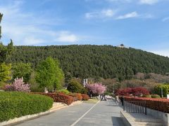 -云龙山