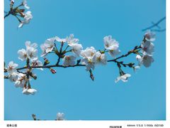 -堤角公园