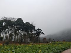 -广州市石门国家森林公园