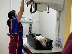 -美联众合动物医院·24h转诊中心