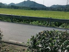 -李东农庄(中南百草园地标店)