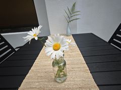 -东明山森林公园